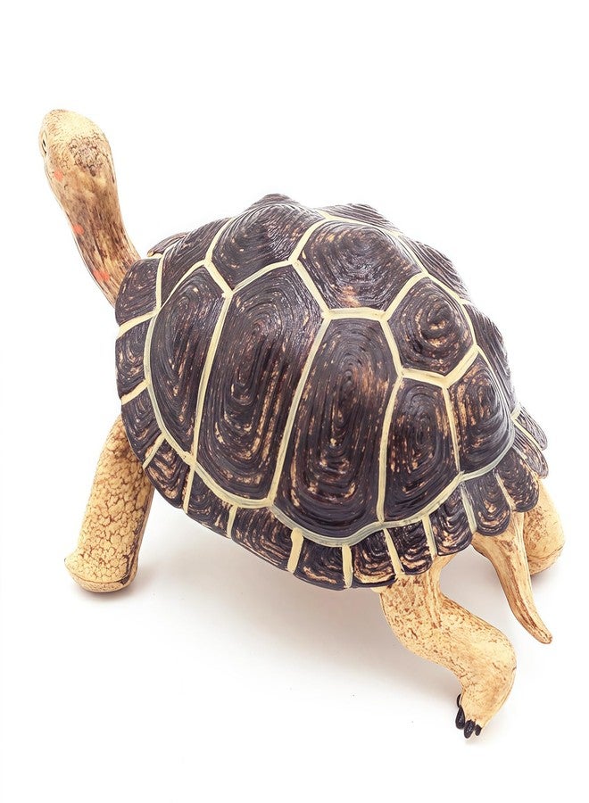 Higherbros Giant Tortoises Large Turtle Safari Animal Toys Wildlife Figurines Collection, Educational Toys for Kids, Outdoor Garden Statues and Home Decorating, Nice Decor (Dark Brown) - Image 3